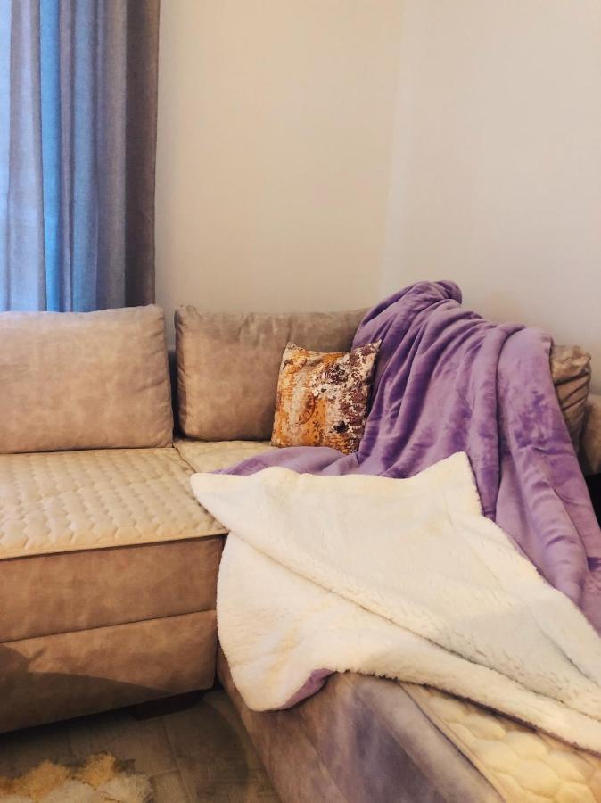 Apartman “Emi” โคเปานิก ภายนอก รูปภาพ