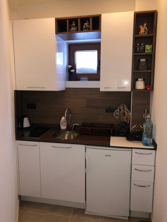 Apartman “Emi” โคเปานิก ภายนอก รูปภาพ
